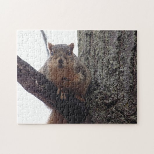 Puzzle mit kreativen Mustern (Horizontal)