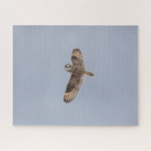 Puzzle mit kurzem Owl