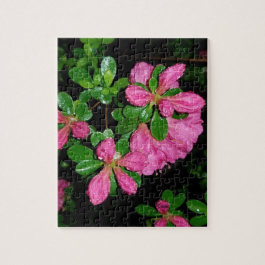 Puzzle mit rosa Blume nach Regen (Vertikal)