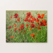 Puzzle mit rotem Mohnfeld (Horizontal)
