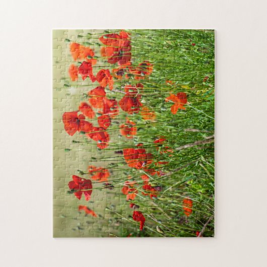 Puzzle mit rotem Mohnfeld (Vertikal)