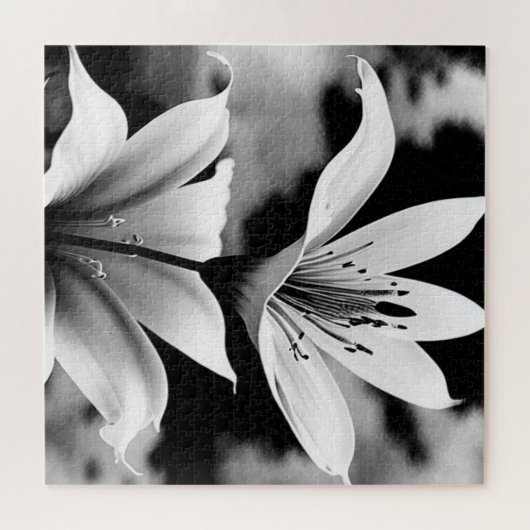 Puzzle mit schwarzen und weißen Lilien (Horizontal)