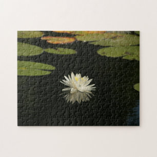 Puzzle mit weißem Lilly-Teich