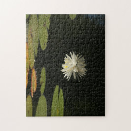 Puzzle mit weißem Lilly-Teich