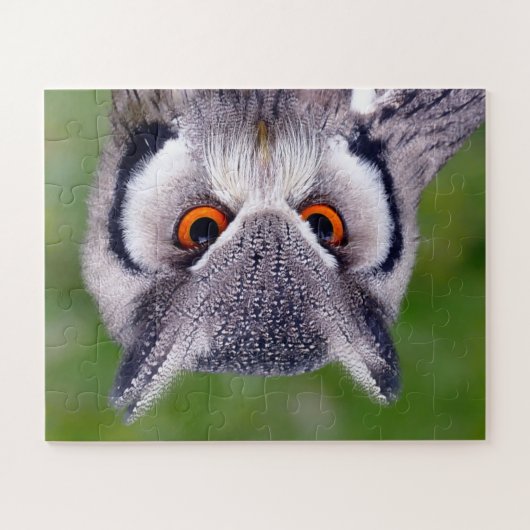 Puzzle mit weißer Weste (Horizontal)