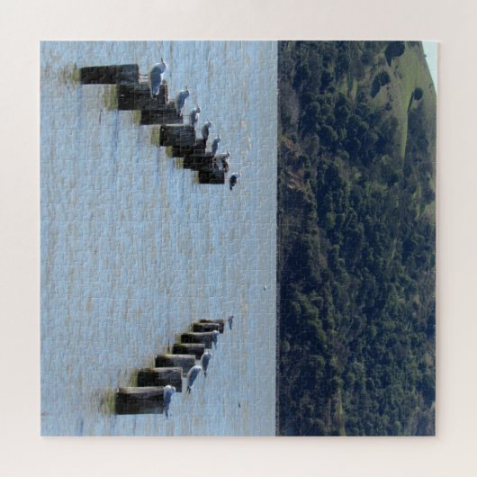 Puzzle - Möwen auf Pilzen (Horizontal)