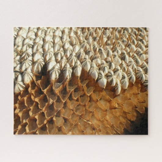 Puzzle - Naturgeometrie in Sonnenblumen (Horizontal)