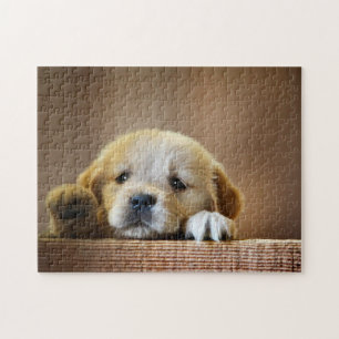 Puzzle - Niedlicher Welpe