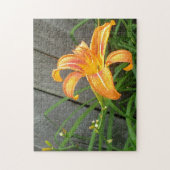 Puzzle Orange Taglilie Blume (Vertikal)
