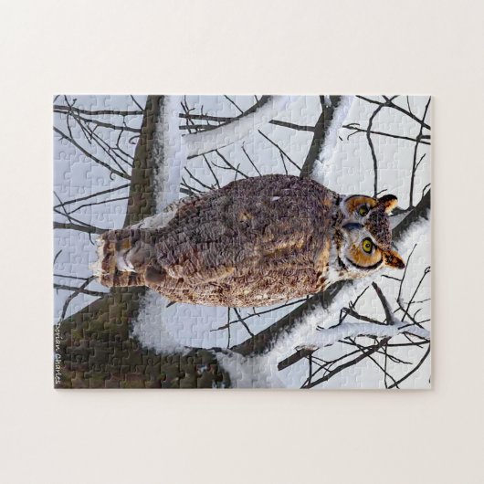 Puzzle "Owl in Winter" (Horizontal)
