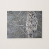 Puzzle Owl Puzzle (Horizontal)