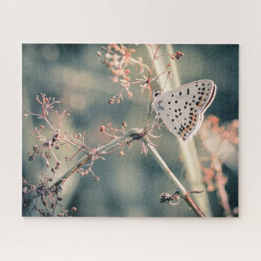 Puzzle Papillon 520 Stk. (Horizontal)