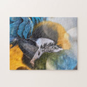 Puzzle Parrot Color Bird (Horizontal)