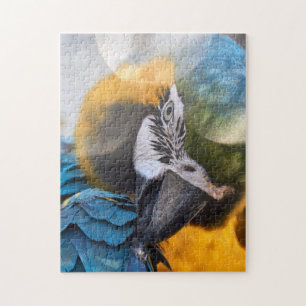 Puzzle Parrot Farbvogel
