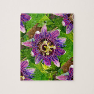 Puzzle Passionblume