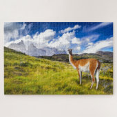 Puzzle Patagonia (Horizontal)