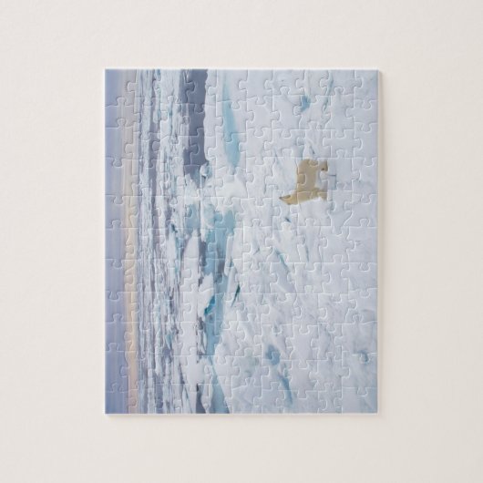 Puzzle-Polar Puzzle (Vertikal)