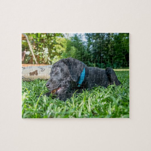 Puzzle Puppy Labrador (Horizontal)