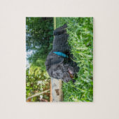 Puzzle Puppy Labrador (Vertikal)