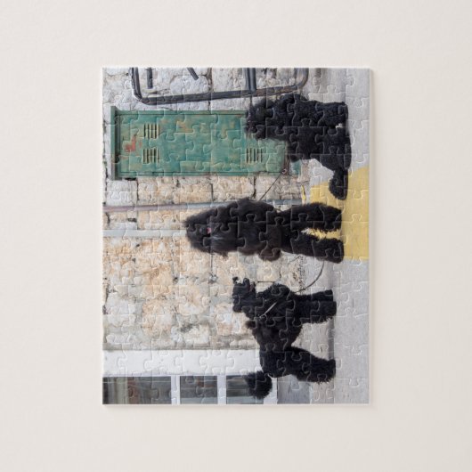 Puzzle-Puzzle Puzzle (Vertikal)