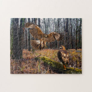 Puzzle "Red-Tail-Falken"