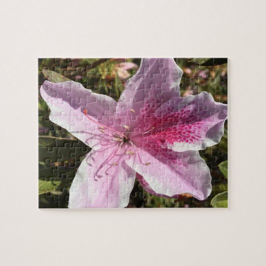 Puzzle rosa Azalea (Horizontal)