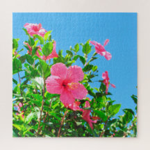 Puzzle - Rosa Hibiskus Blüten