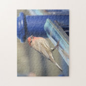 Puzzle - Roter Sparrow auf blauem Zaun (Vertikal)
