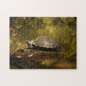 Puzzle - Schildkröte beim Login Pond (Horizontal)