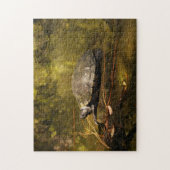 Puzzle - Schildkröte beim Login Pond (Vertikal)