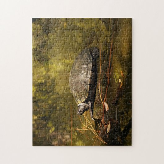 Puzzle - Schildkröte beim Login Pond (Vertikal)