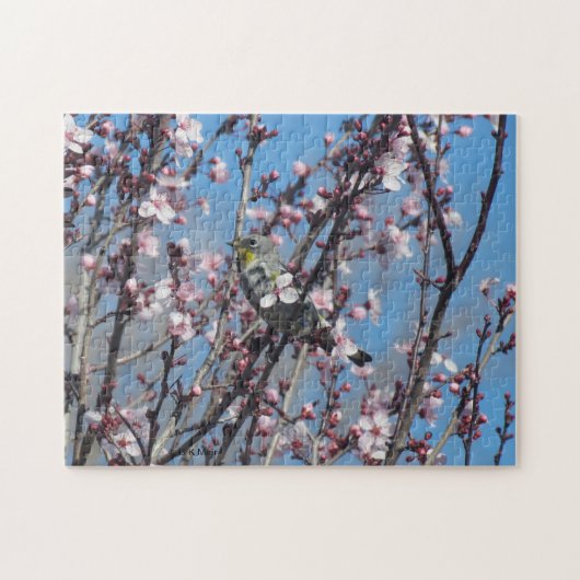 Puzzle - Springtime-Sparrow (Horizontal)