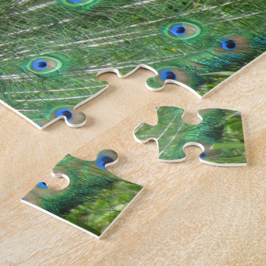 Puzzle - stolzer Pfau (Seite)