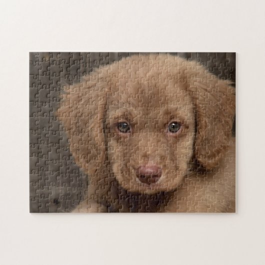 Puzzle - Süßer brauner Welpe (Horizontal)