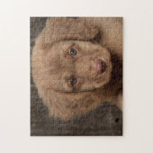 Puzzle - Süßer brauner Welpe (Vertikal)