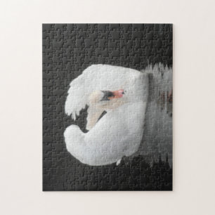 Puzzle Swan
