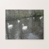 Puzzle Swans Schwimmen (Horizontal)