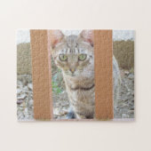 Puzzle - Tabby Kitten durch Railing (Horizontal)