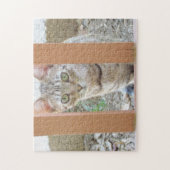 Puzzle - Tabby Kitten durch Railing (Vertikal)