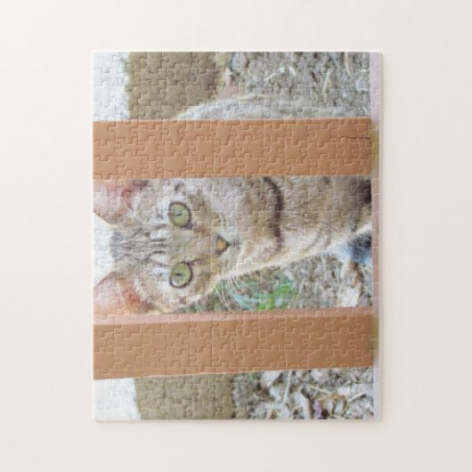 Puzzle - Tabby Kitten durch Railing (Vertikal)