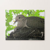 Puzzle - Tauben im Nest (Horizontal)