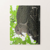 Puzzle - Tauben im Nest (Vertikal)