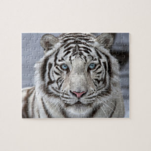 Puzzle-Tiger Jigsaw-Puzzle Puzzle