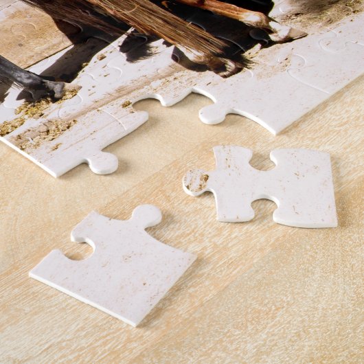 Puzzle Trail (Seite)