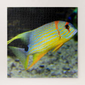 Puzzle Tropical Fish (Vertikal)