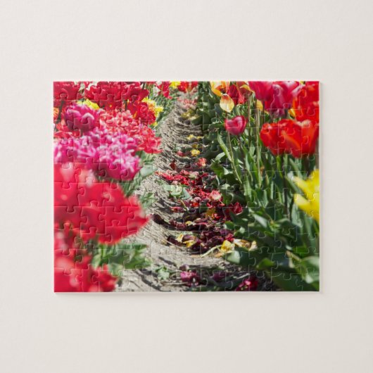 Puzzle-Tulpen Puzzle (Horizontal)