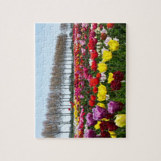 Puzzle Tulpen Quelle ist in der Luft (Vertikal)