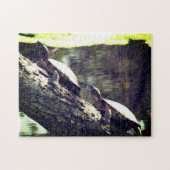 Puzzle - Turtles on a Log (Horizontal)