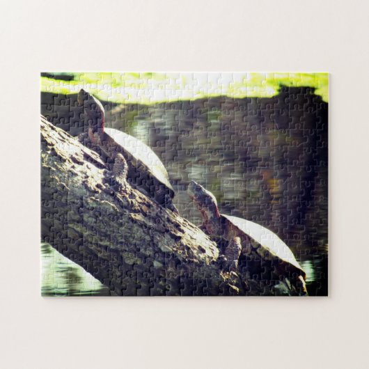 Puzzle - Turtles on a Log (Horizontal)