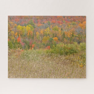 PUZZLE/"VIBRANT LANTRYSIDE IN FALL" PUZZLE